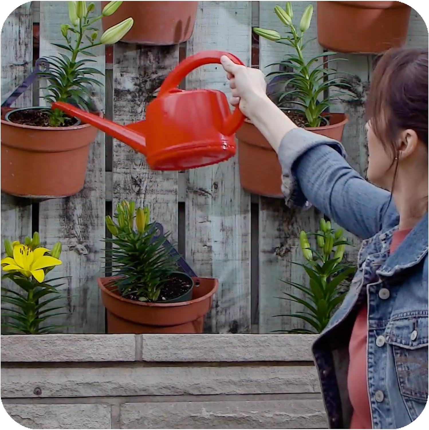 Consolidated Plastics Durable Swiss Watering Can with UV Protection, Ergonomic Handle for Indoor/Outdoor Gardening, Made in Switzerland (2 Liter) (Red)