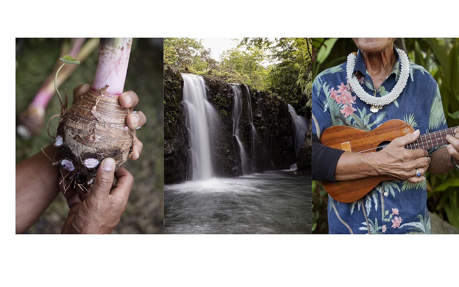Cook Real Hawai'i: A Cookbook - Image 5