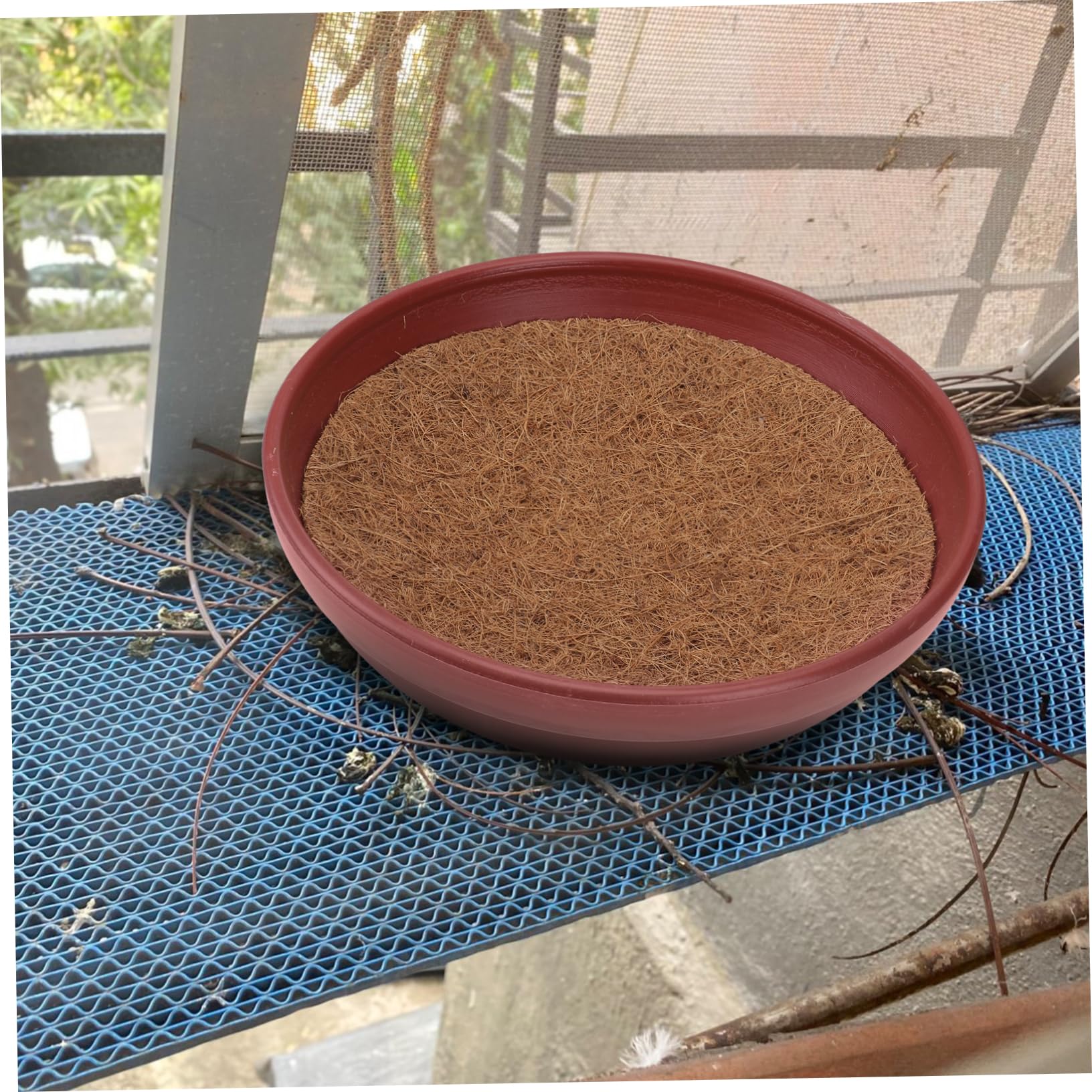 Nid D’oiseau pour Pigeons Voyageurs, Pots à Œufs en Plastique, Lot de 3