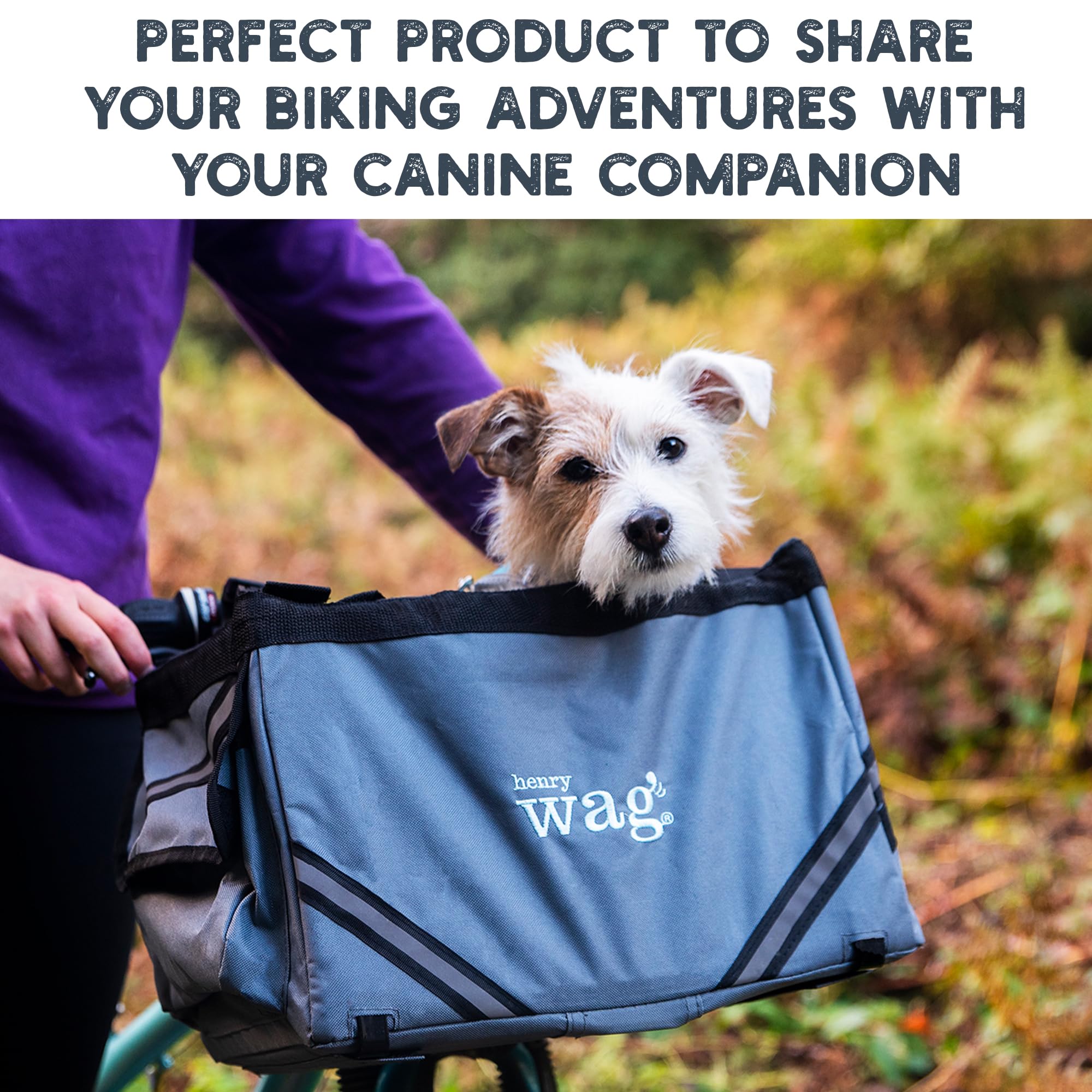 View 4