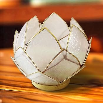 Amazon.com: Blooming Lotus Capiz Shell Tealight Candle