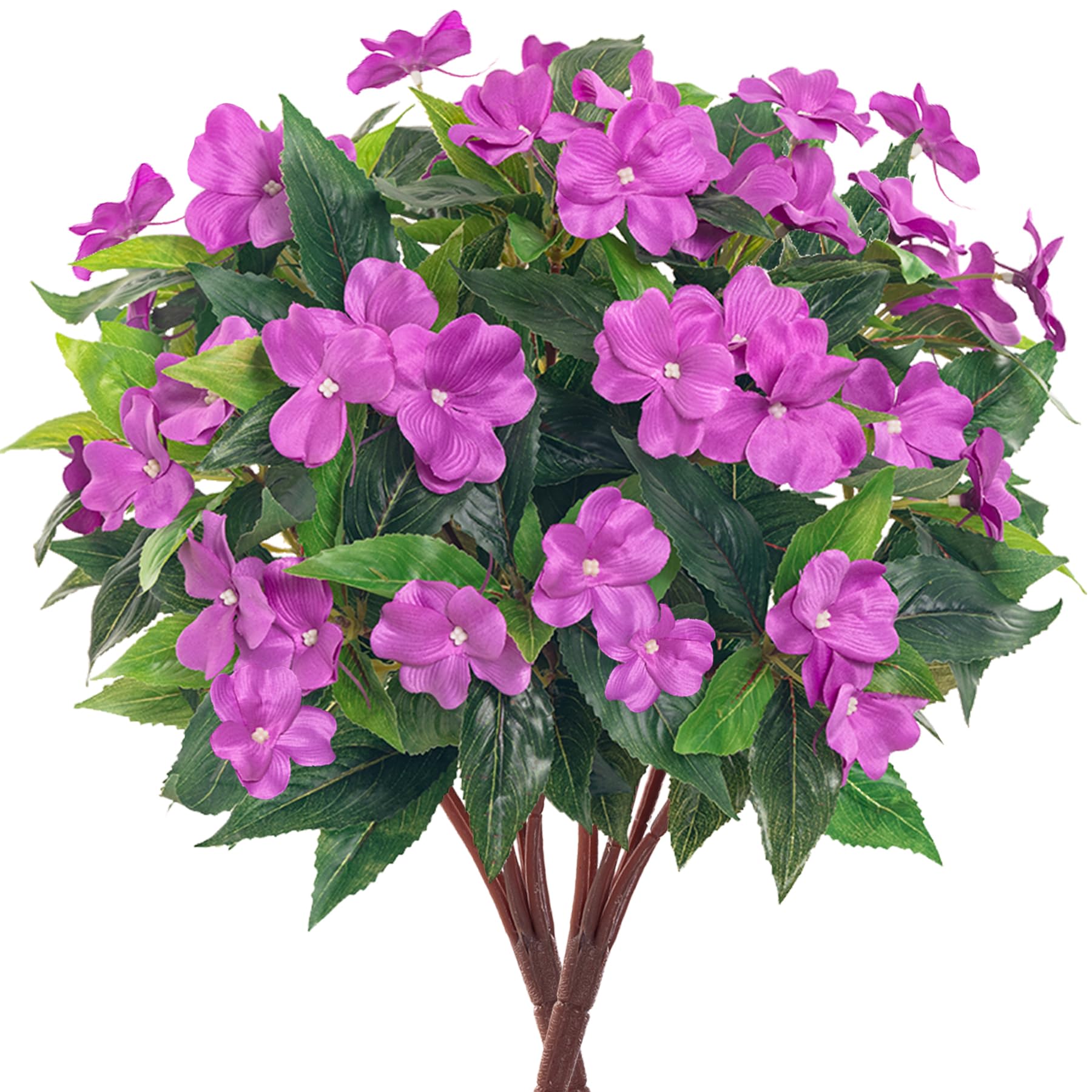 product_img5