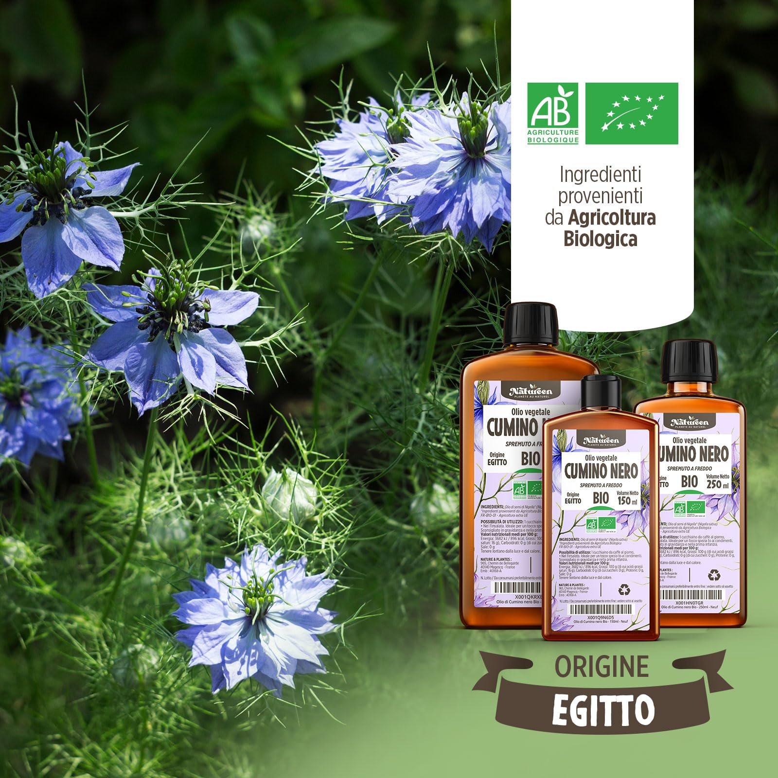 Olio di Cumino Nero Biologico 500 ml - 100% Pure, naturale e Pressato a freddo