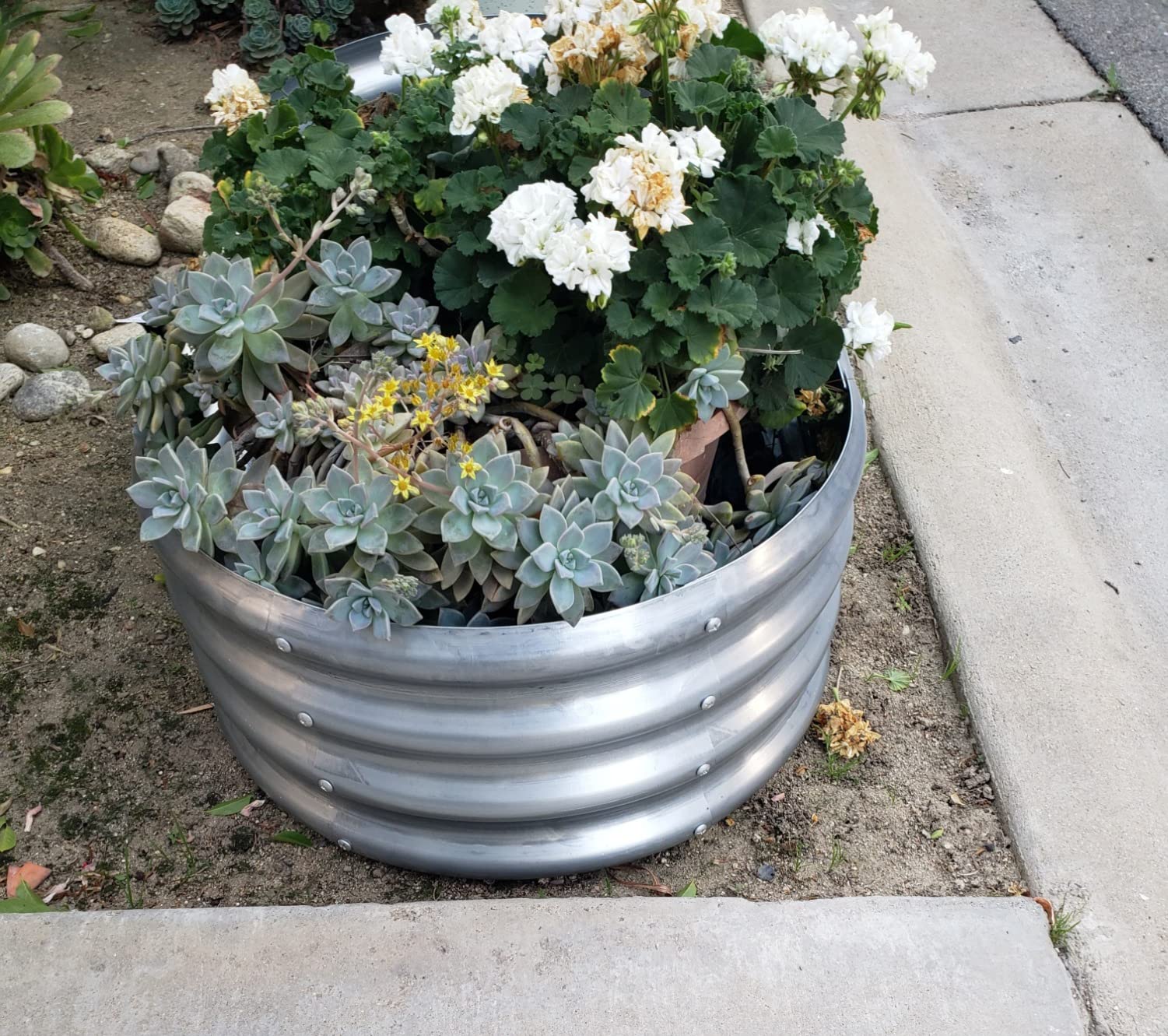 Galvanized Stock Tank Land Guard 2Pack Galvanized Raised Garden Bed Kit, Galvanized Planter Oval Large Metal Raised Garden Boxes Outdoor For Vegetables(Cream Yellow Raised Garden Beds Outdoor