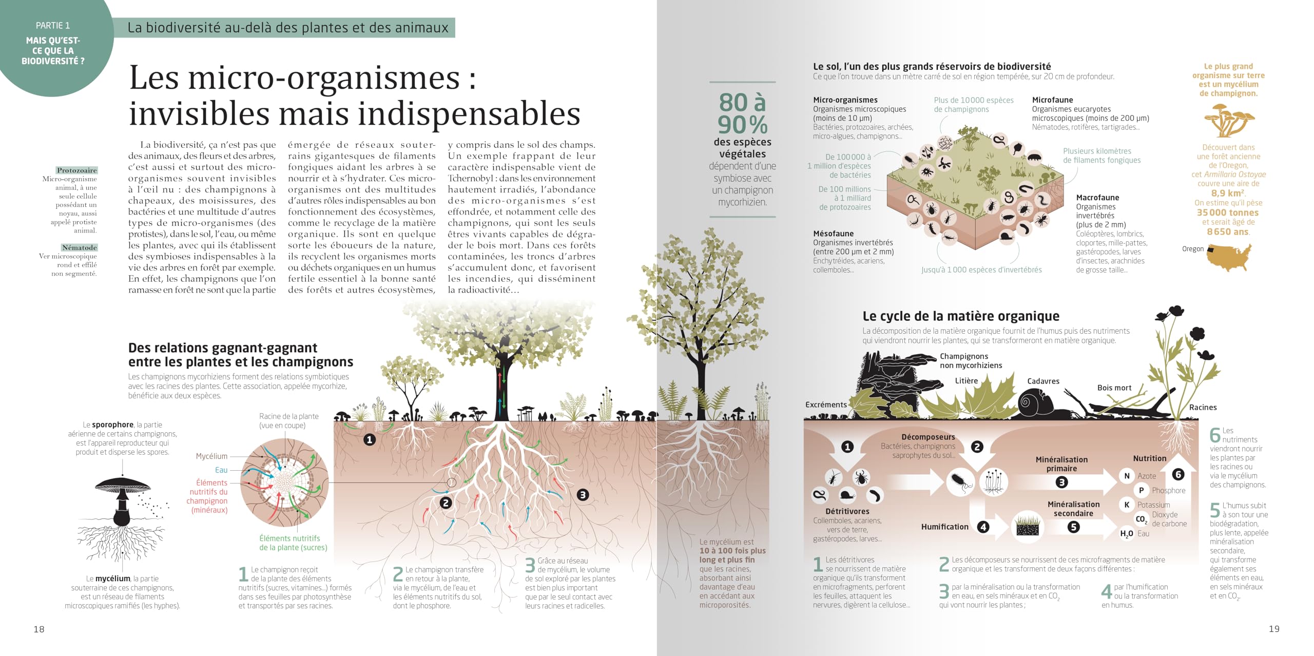 La biodiversité en infographies: L'urgence du vivant : comprendre pour agir