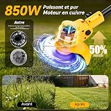 Debroussailleuse Electrique sans Fil, Débroussailleuse Batterie avec 2 Batteries 2,0 Ah, Chargeur et Roues Amovibles, 21V Coupe Bordure sans Fil avec Batterie pour Tondre Le Jardin et la Pelouse. - 3