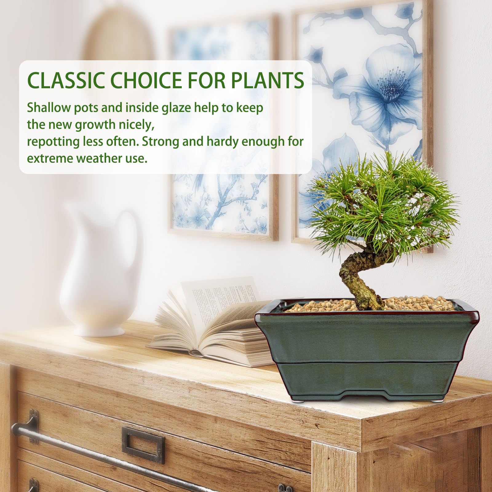 Oairse Zestaw 2 ceramicznych doniczek bonsai z otworami drenażowymi, do japońskich roślin pokojowych bonsai, dekoracja retro do zestawów pojemników ogrodowych na zewnątrz, średnica otworu 25,5 cm