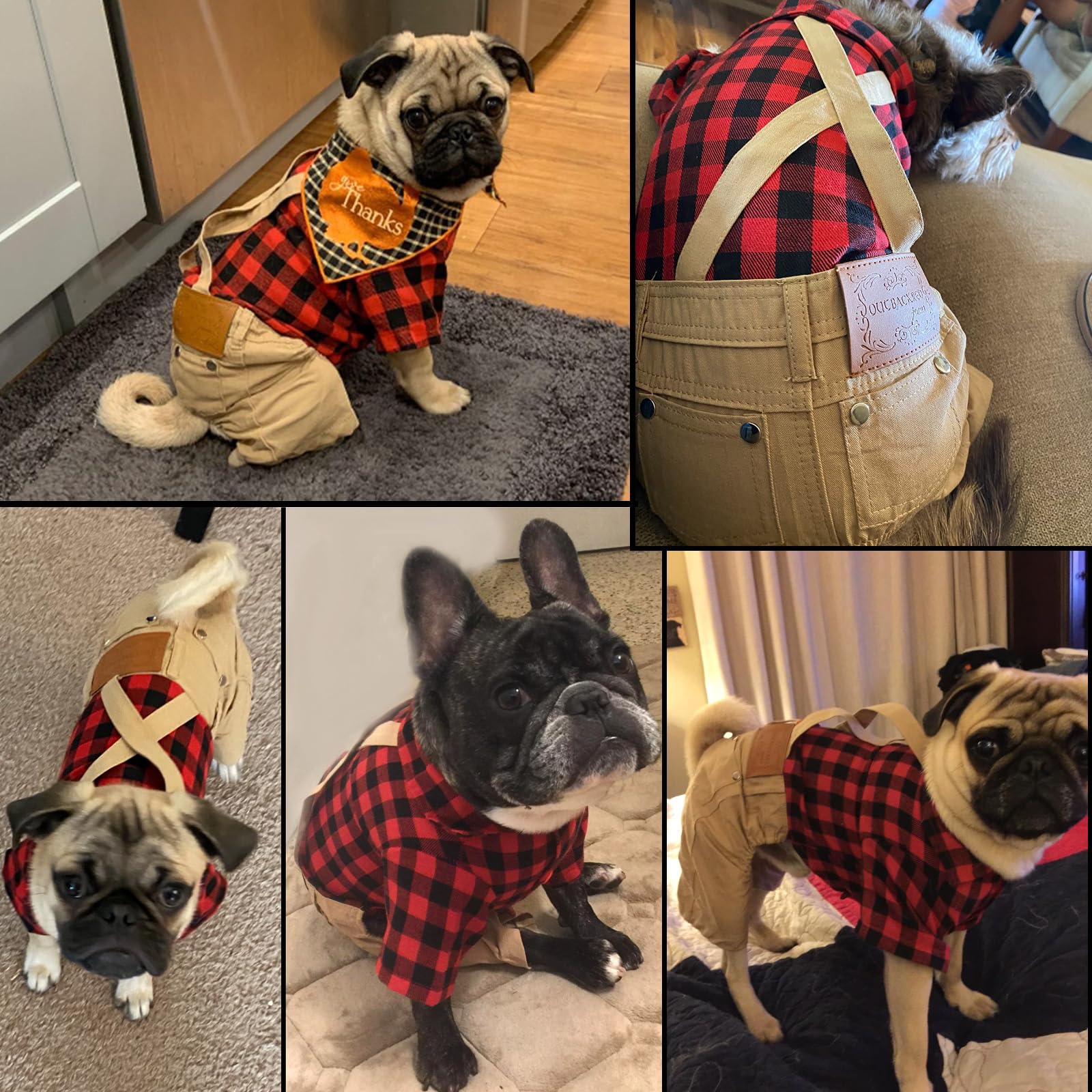 Hunde-Overall Für Kleine Hunde – Rot Kariertes Shirt Mit Khaki-Hose, 4-Bein-Design, Druckknöpfe (Größe L: Brust 40 Cm)