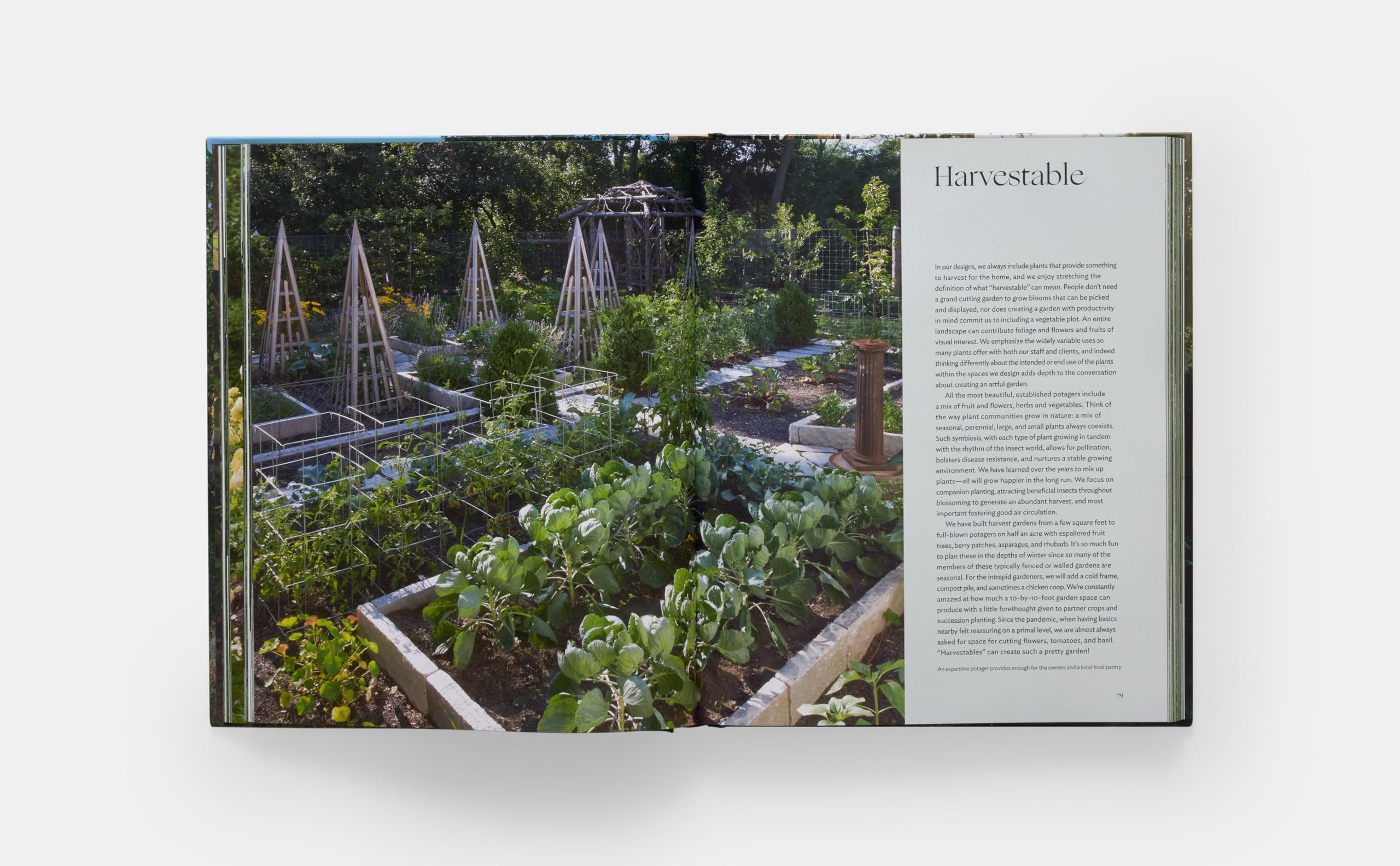 The Art of Fine Gardening: Craig Bergmann Landscape Design