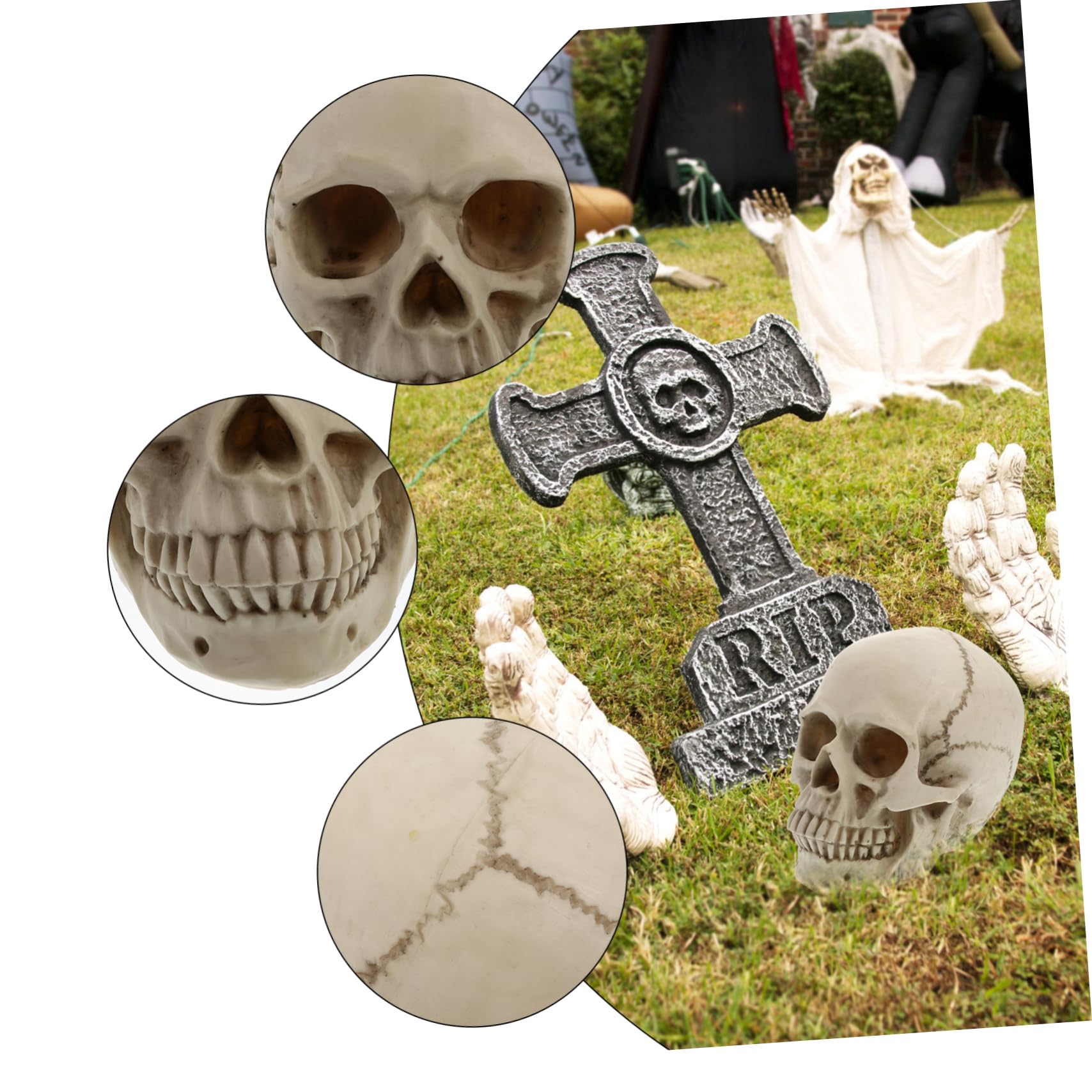 Mipcase Modelo de Cráneo Humano de Resina Real para Decoración de Halloween Utilería Artística y Estudio de Anatomía Cráneo Humano Detallado