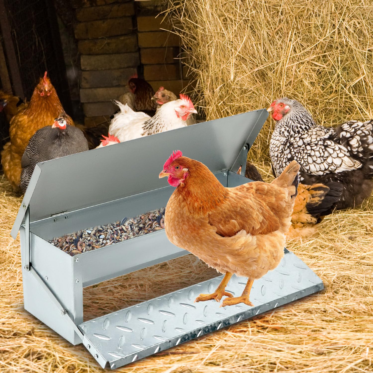 QWORK® Mangiatoia Automatica per polli - capacità 5 kg - Design Inclinato Interno - Coperchio in Acciaio Inossidabile e Pedale Antiscivolo (56x18x18 cm)