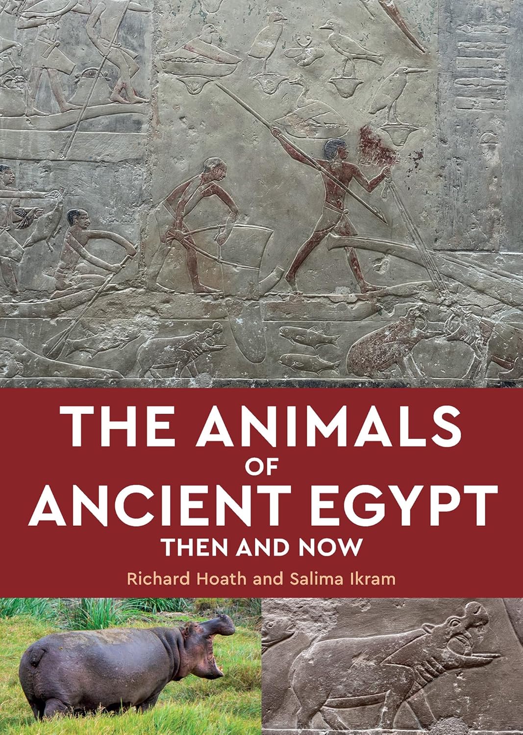 The Animals of Ancient Egypt: Then and Now      Paperback – April 7, 2026