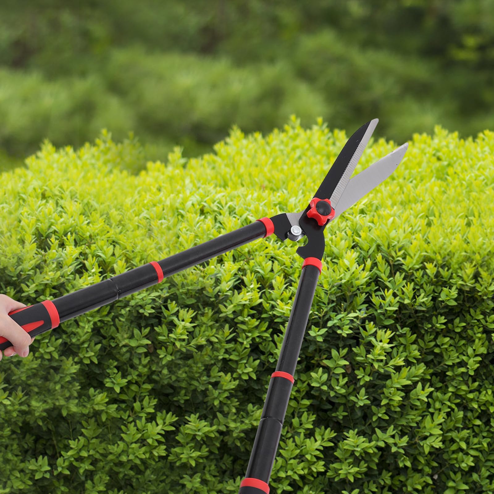 Toddmomy Podadora de Jardín Manual Cuchillas de Acero Sk5 y Mango de Goma, Tijeras Cortasetos Extensibles de 22 a 30 Pulgadas para Recortar Arbustos y Setos Comodidad