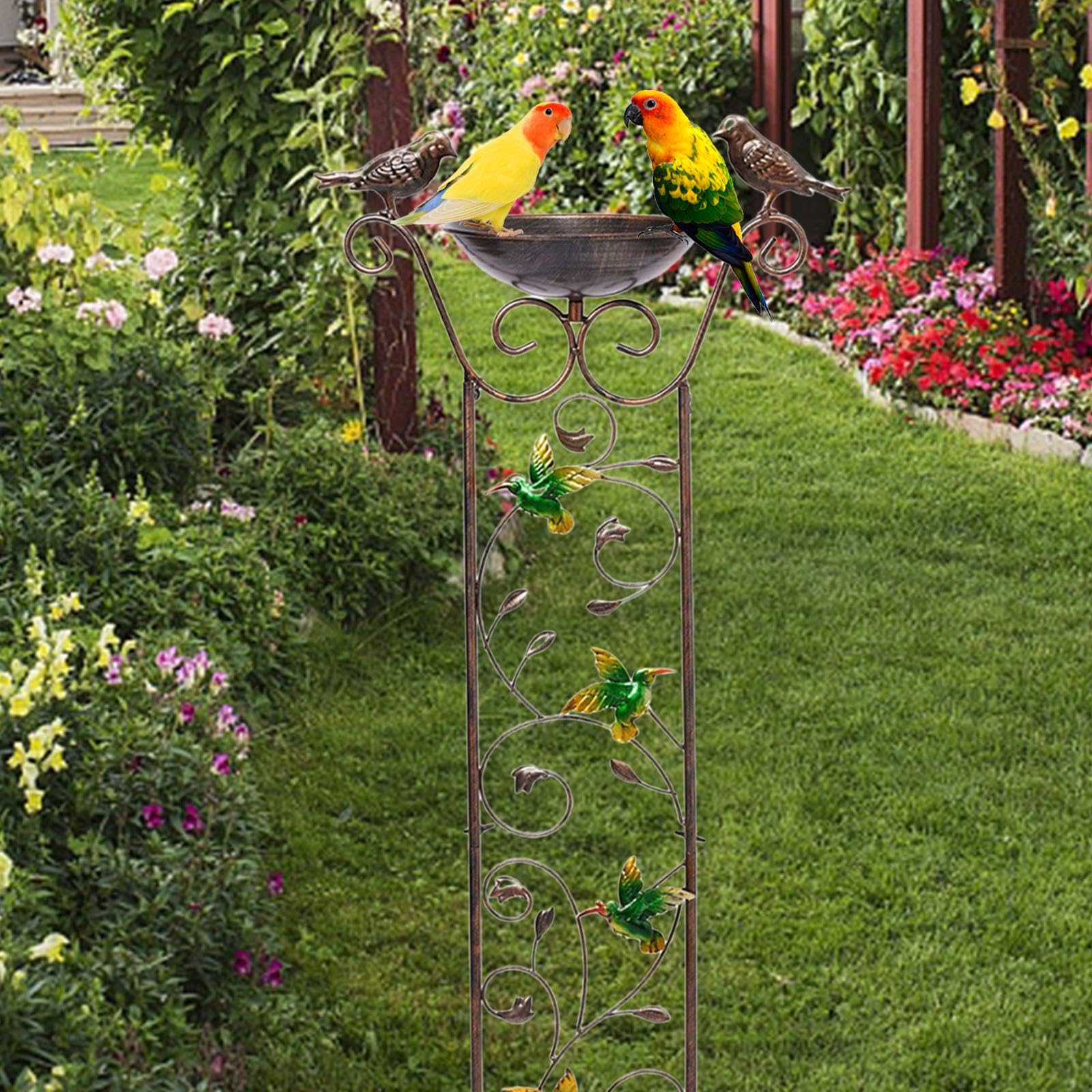 Ensemble élégant de Baignoire et Treillis pour Jardin Extérieur, Colibri