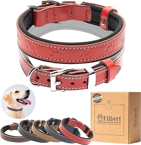 Filbert Collar de cuero plano para perro con hebilla para perros grandes, medianos y perros pequeños, collar de cuero genuino para perros, collar de