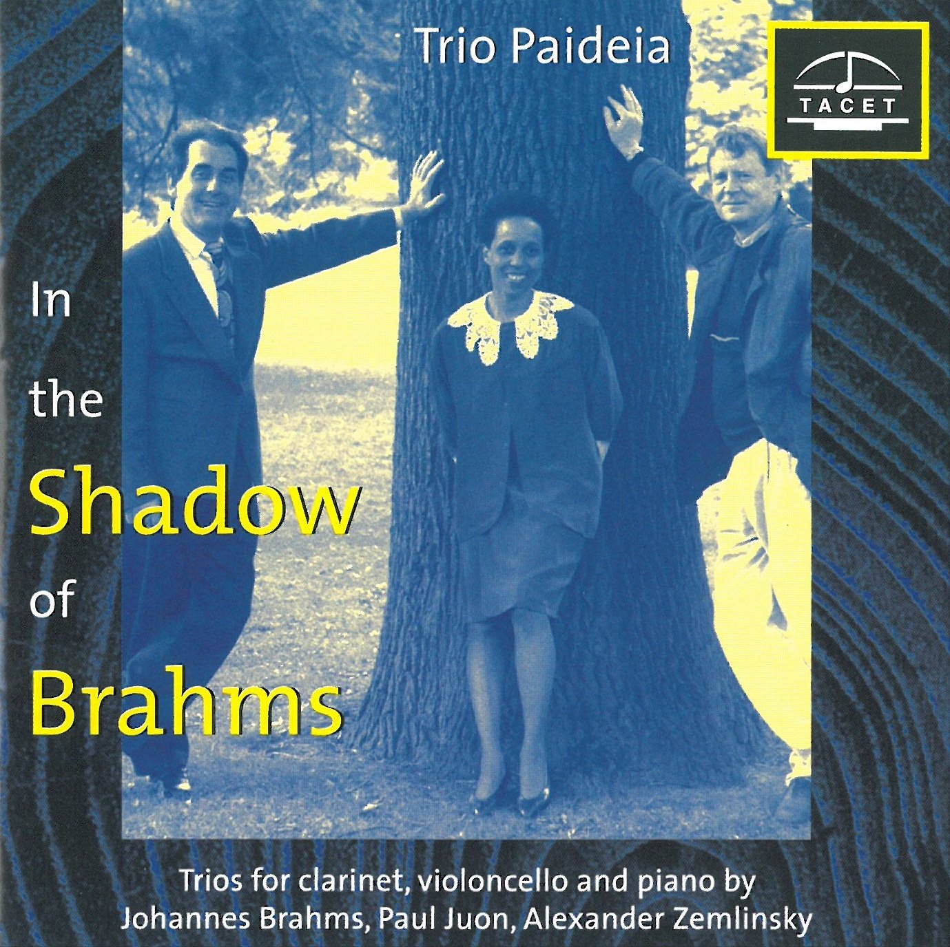 In the Shadows of Brahms, Vol.1