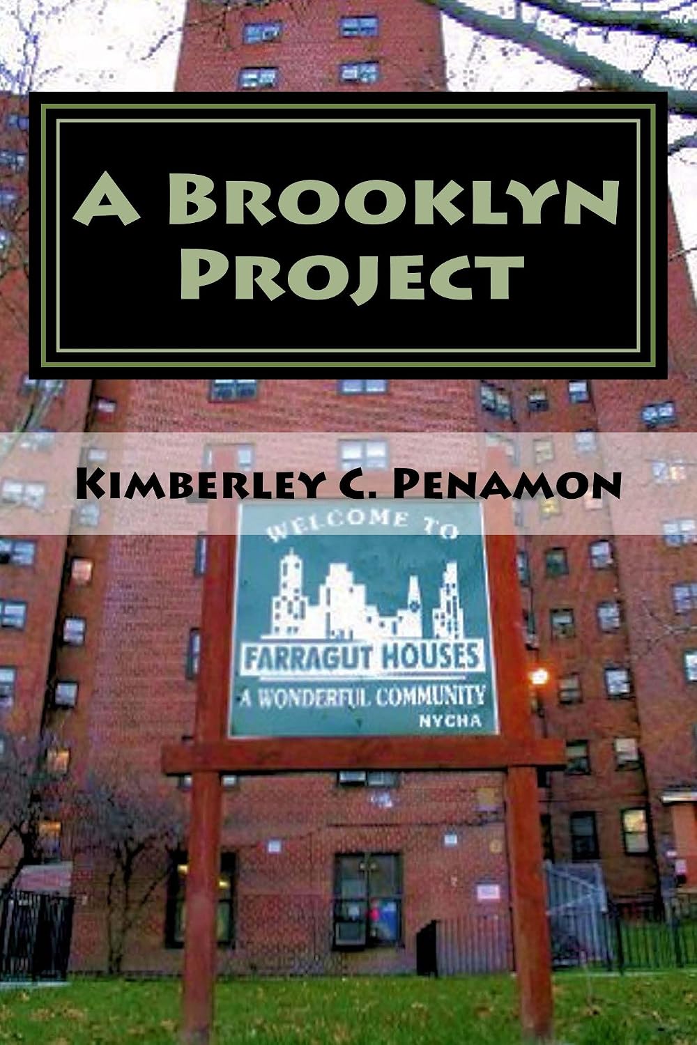 A Brooklyn Project: Urban Book of Poems based on Farragut Projects