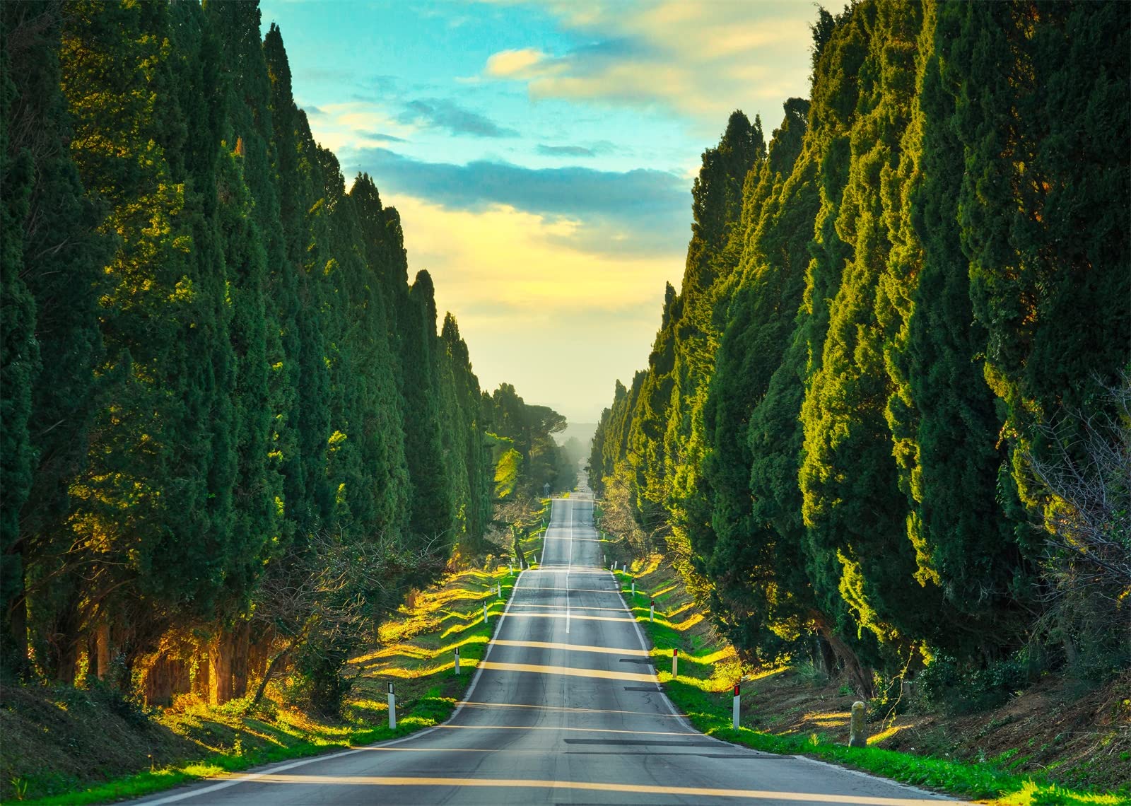 CORFOTO 10x6.5ft Fabric Italy Photo Backdrop Europe Landmark Scene Cypresses Trees Straight Road Landscape Photography Background Wedding Photo Kid Adult Holiday Travel Party Banner Photo Props