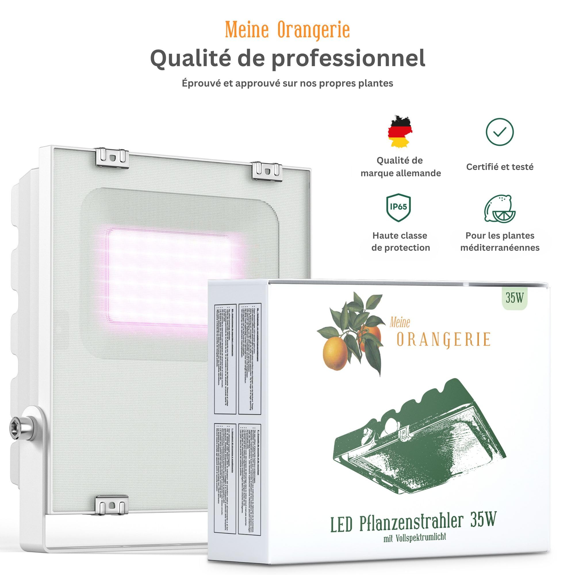 Meine Orangerie - Lampe LED pour l'hivernage des plantes méditerranéennes - Développée avec des experts en agrumes. Lumière à spectre complet pour plantes (35)