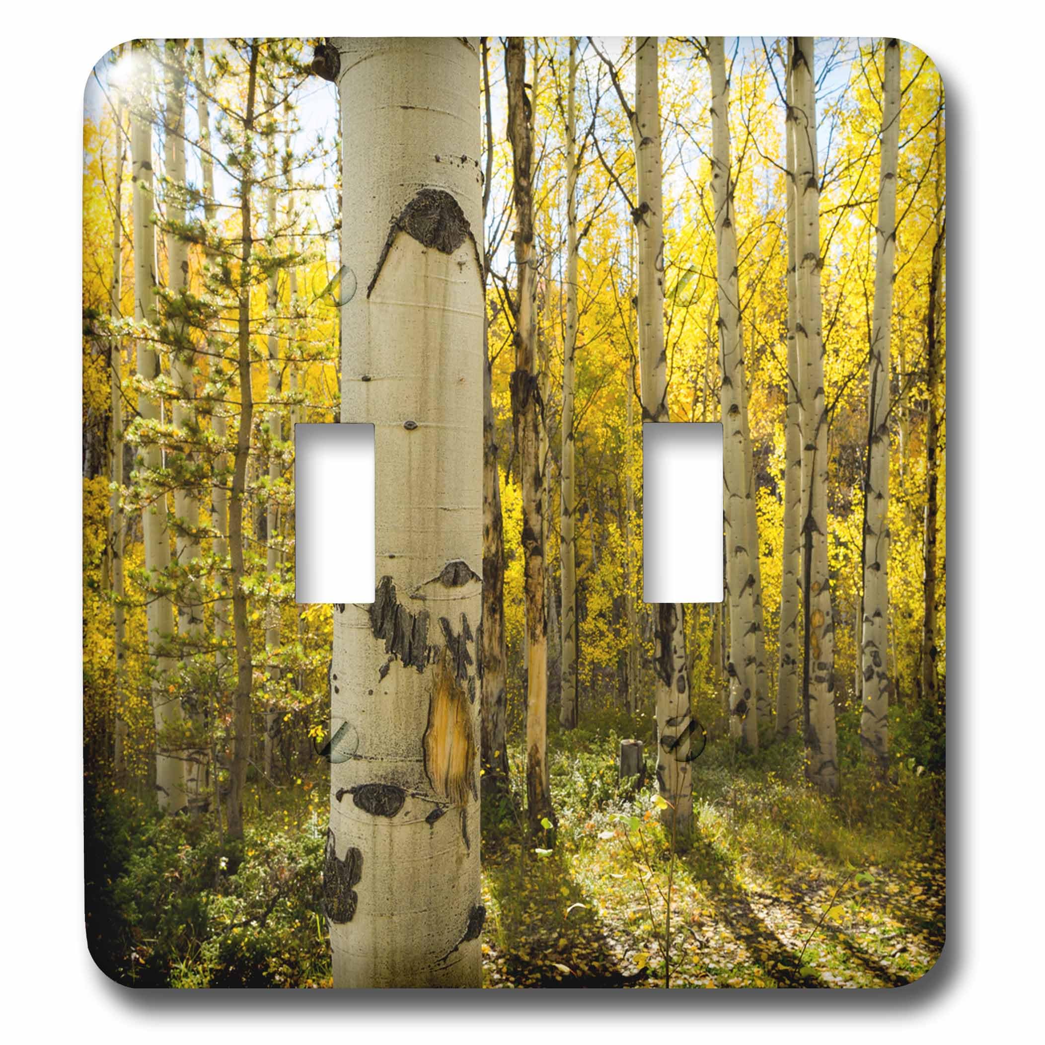 Interrupteur Golden Quaking Aspen déco nature Colorado pour salon chaleureux double bascule lsp