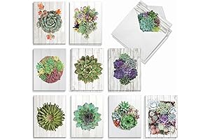 Succulent Notecards by best card company (AM6438OCB-B2x10)