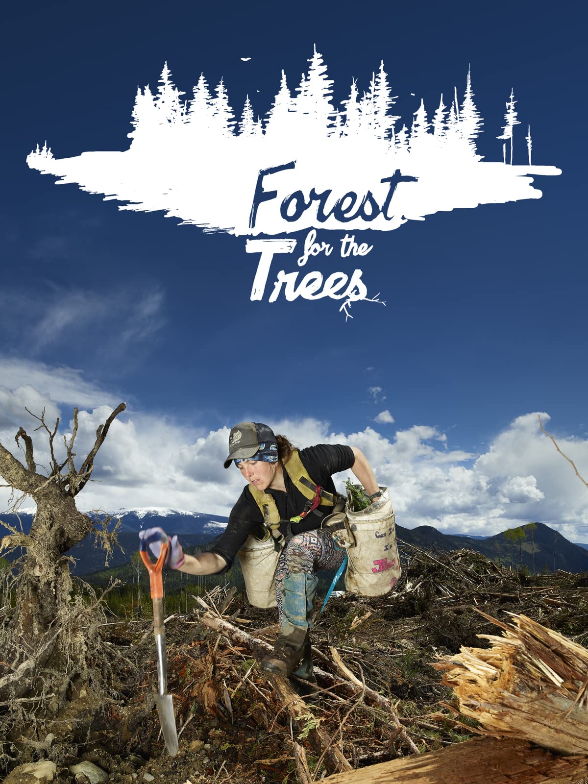 Forest For The Trees