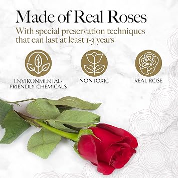 GLAMOUR BOUTIQUE 16 Flower Forever Heart Shape Box, Mothers Day Gift For Mom, Eternal Preserved Roses Gift for Her, Flowers bouquet, For Birthday, Anniversary, Girlfriend - Red