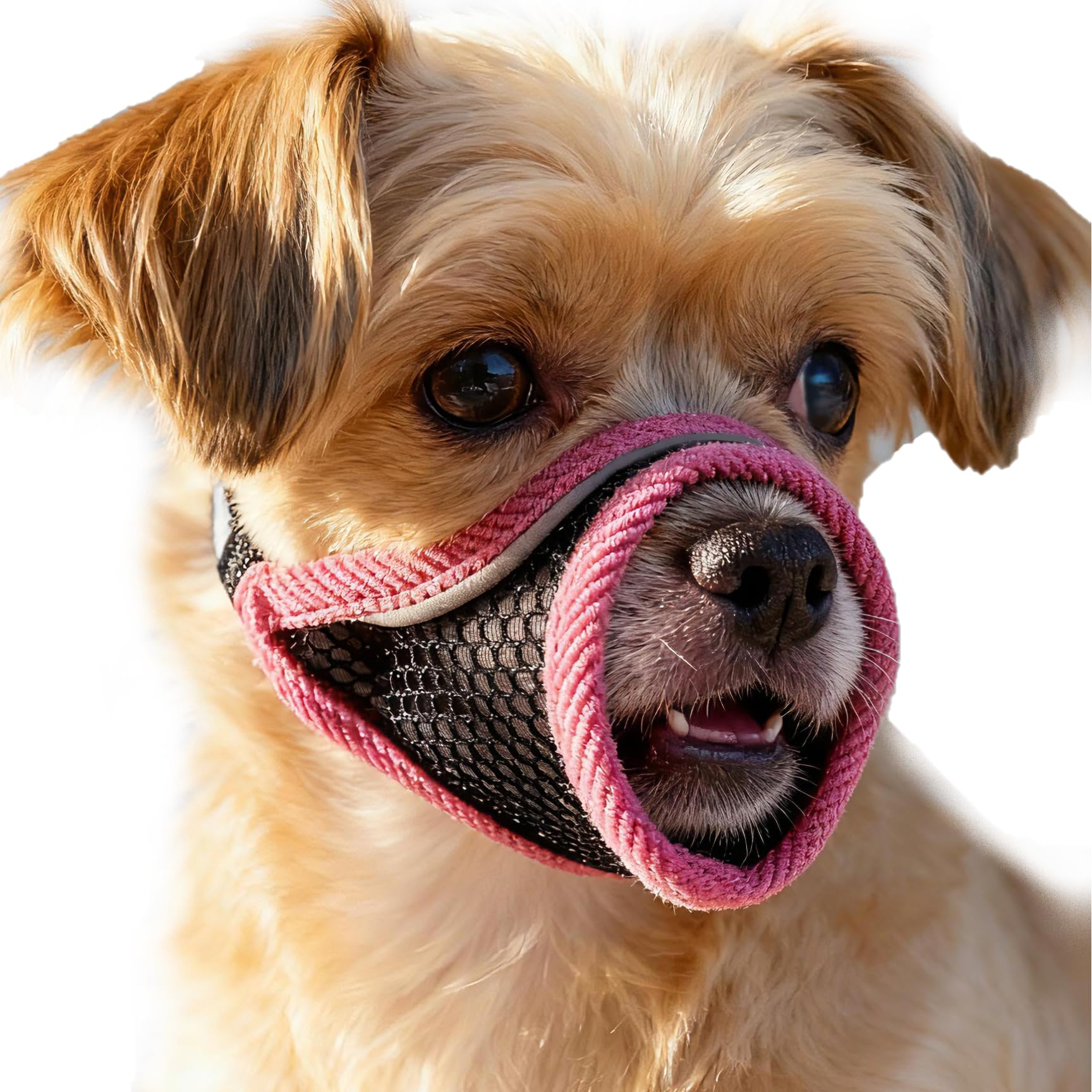Dog Muzzle, Soft Mesh Muzzles for Small Dogs, Chihuahua Shih Tzu Yorkie Pom, Short Snout Mouth Guard for Barking Biting Grooming, Breathable, Adjustable, Puppy Muzzle (Cherry Red, M)