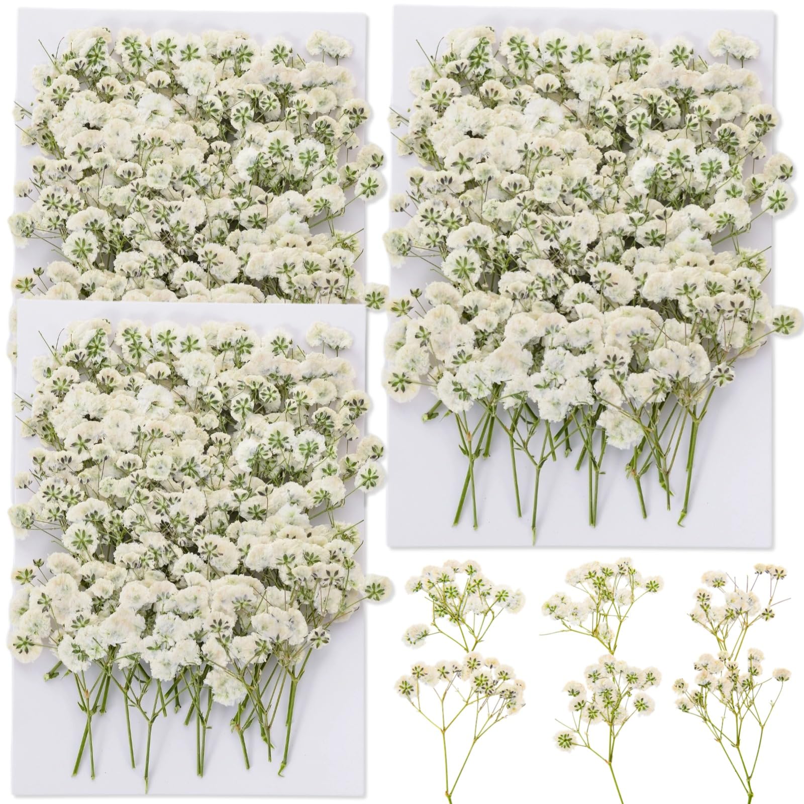 90Pcs Mini Dried Pressed Baby's Breath Flowers Bulk - Natural Flat Real White Gypsophila Baby Breath, Pressed Flowers for Resin, Frame Art, Scrapbooking, Wedding Invitation