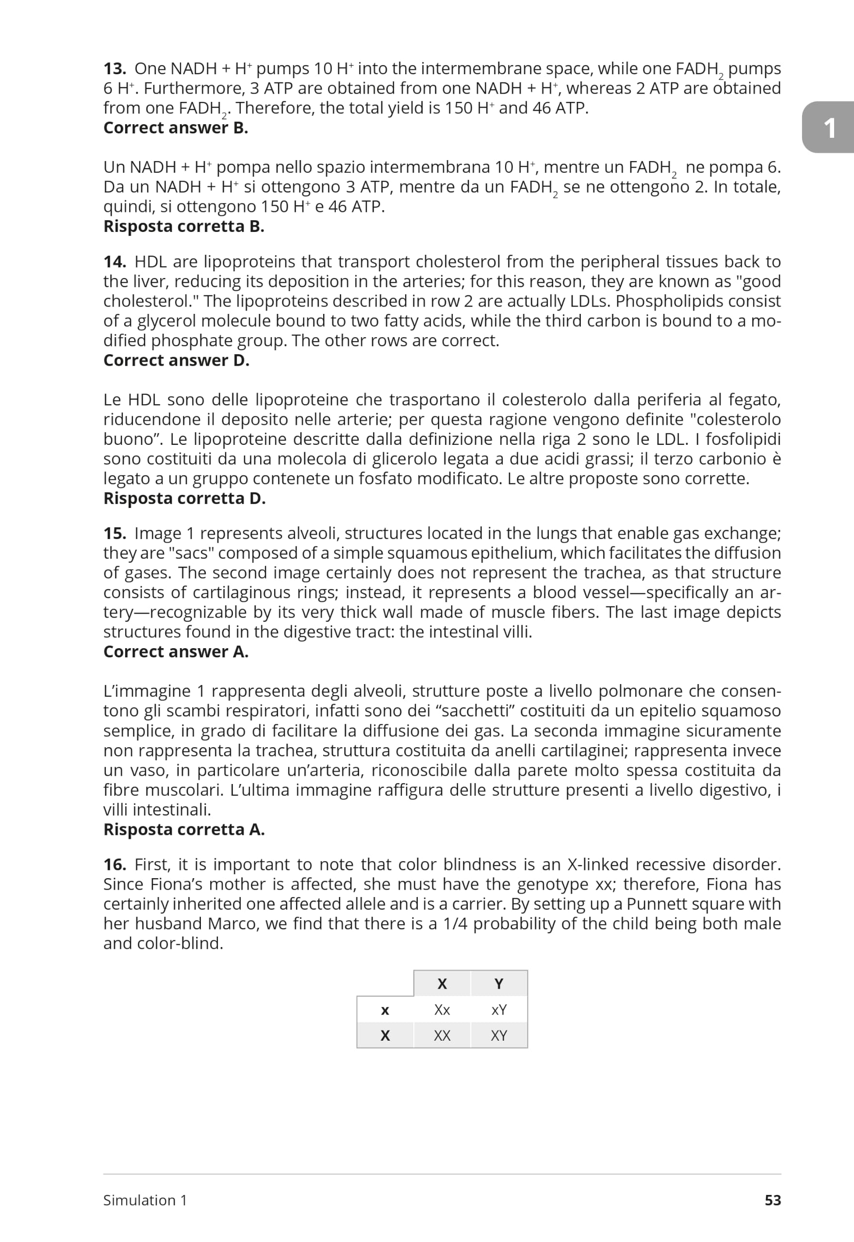 Testbusters. IMAT. Medicine in English. 10 simulations + explanations