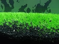 Review Image by ANTONIO SADIO ANTONIO SADIO