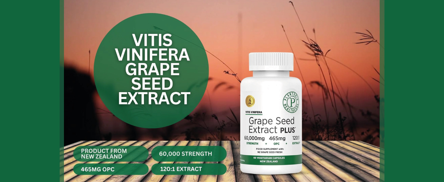 MeySen STANDARD/GRAPE seed 英語テキスト MeySen STANDARD/GRAPE seed 英語テキスト MeySen STANDARD