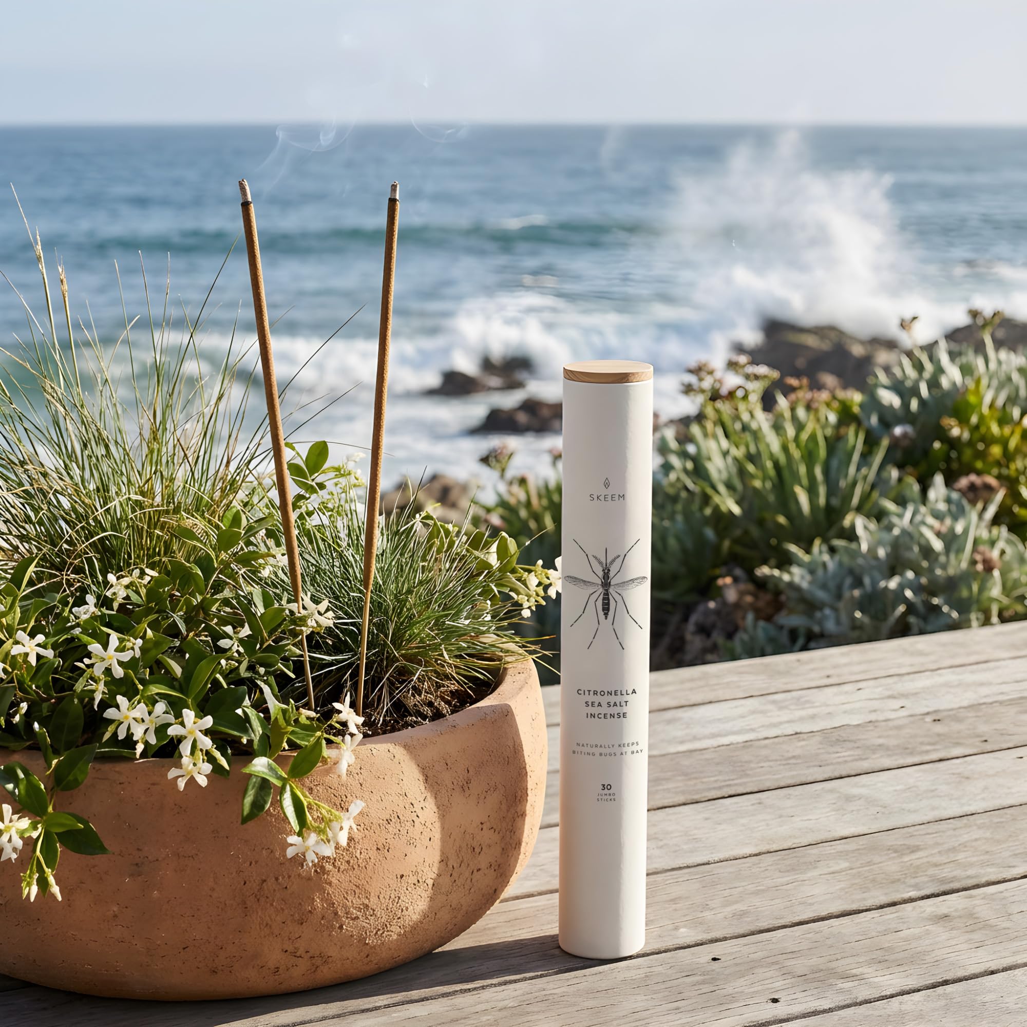 Amazon.com: Skeem Sea Salt Citronella Jumbo Incense - Tube of 30