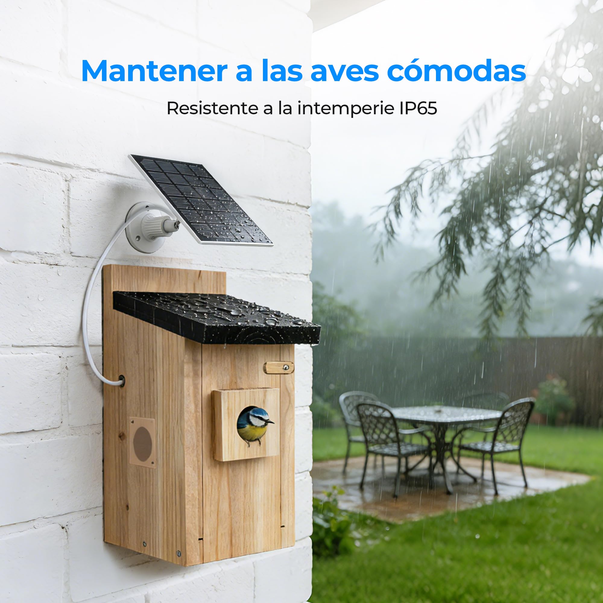 Casa para Pajaros con Camara - Nido para Aves con Camara 4MP, Observacion en Directo de AnidacionAlimentacion Solar, Impermeable IP65, Kit de Bricolaje