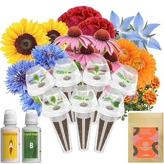 Inbloom Fragrant Bouquet Flower 7 Pods Seed Pod Kit for AeroGarden, iDoo, Ahopegarden, GARDENCUBE(350+ Flower Seeds with Marigold, Daisy, Cockscomb, Borage, Dwarf Sunflower Bambino, Marigold, Dahlia) - Amazon product rated Grade A