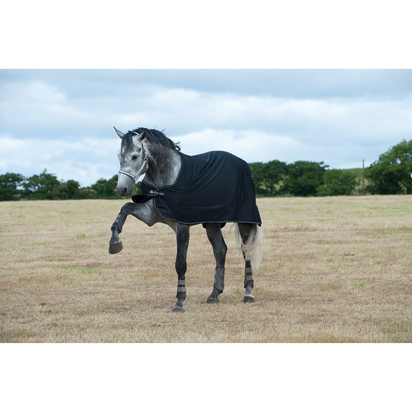 Bucas Power Horse Cooler - Size:81 Color:Black