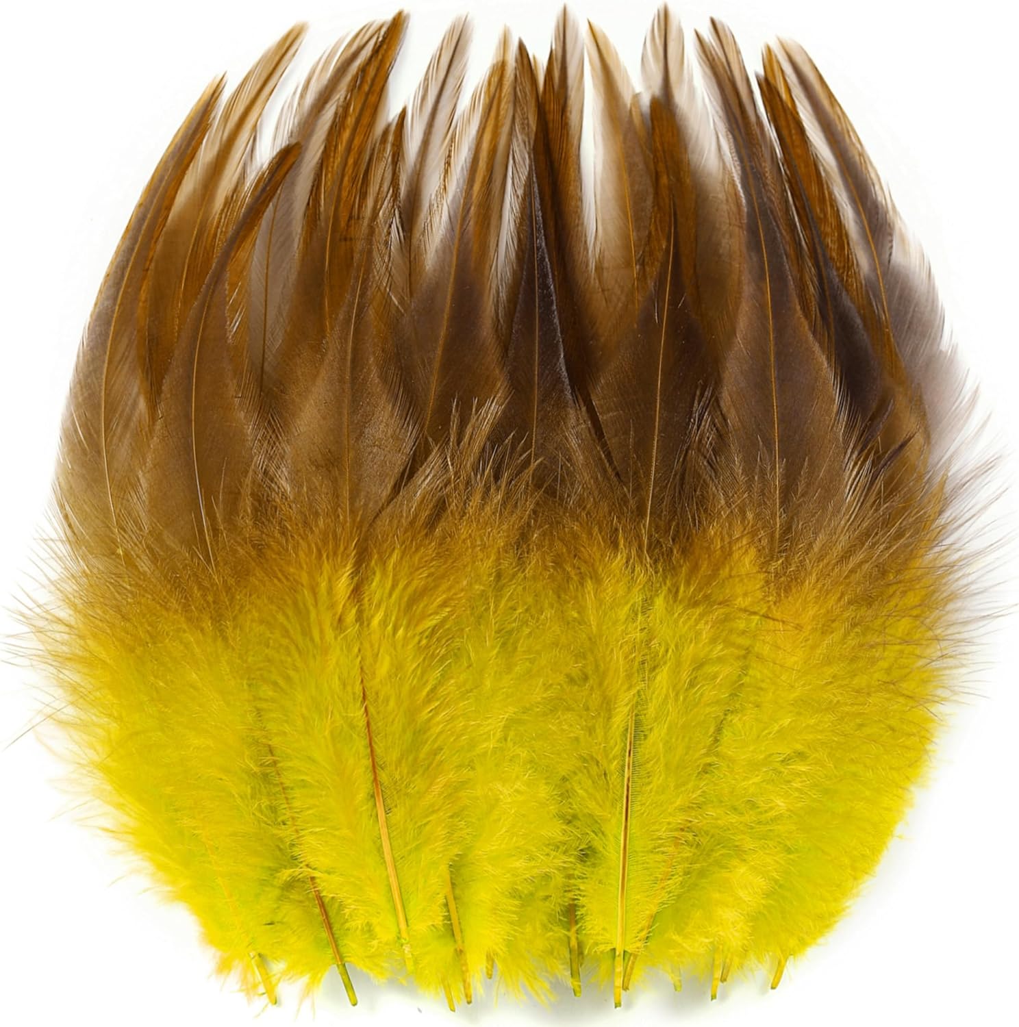 Holmgren Yellow Saddle Rooster Feathers- 5-7inch Rooster Feathers Bulk DIY Cat Toy Project, Dream Catcher and Home Party Decorations (Yellow)