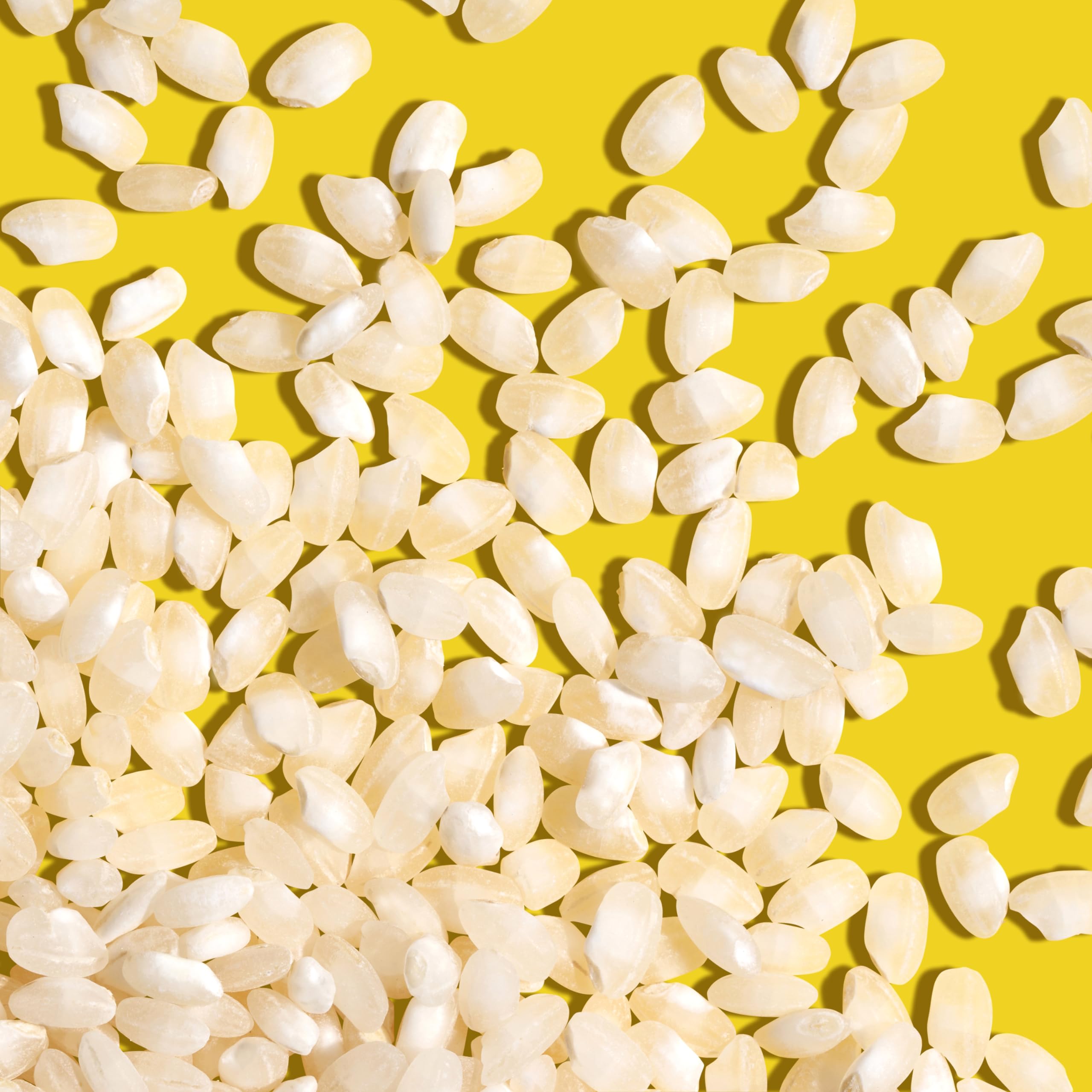 REISHUNGER Paella Reis – 3 x 3 kg – Sorte: Albufera Paella | Paella Reis aus Spanien – Rundes Korn mit angenehmem Biss