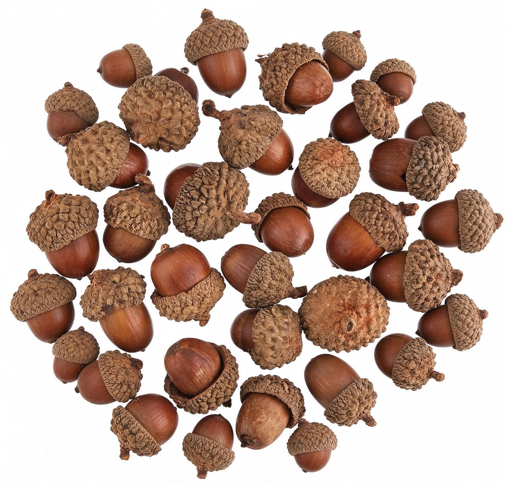Eivxxky 50 Artificial Acorns for Crafts, Autumn Decorations, Wreath Making