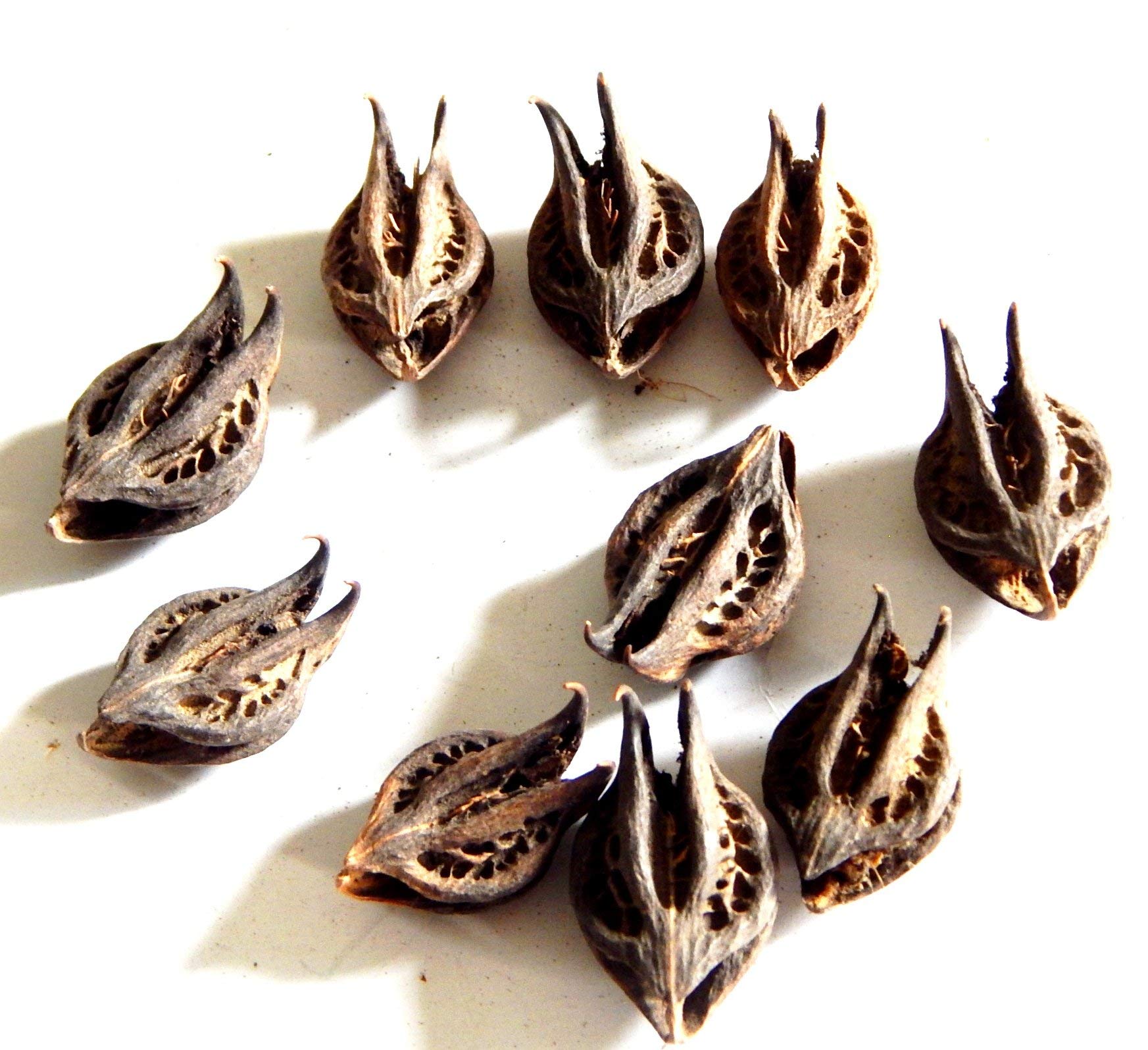 Amazon.com: XUETZALCOATL Beautiful Sacred Holy Quran Stone