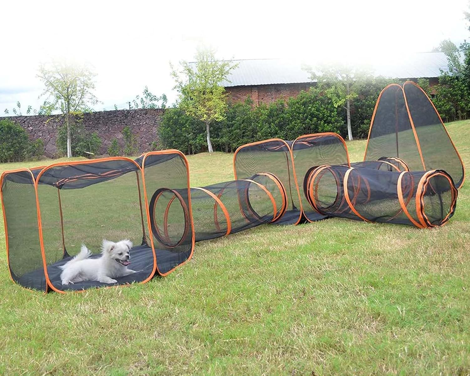 Tunnel E Recinto Pieghevole Per Gatti - Area Giochi Interno/Esterno Con Tenda