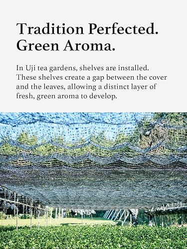 Miniatura 6 de HAYASHIYA Polvo de matcha  Asamidori  Kyoto Uji grado ceremonial, primera cosecha auténtico polvo de té verde matcha japonés (30 g  1.06 oz)