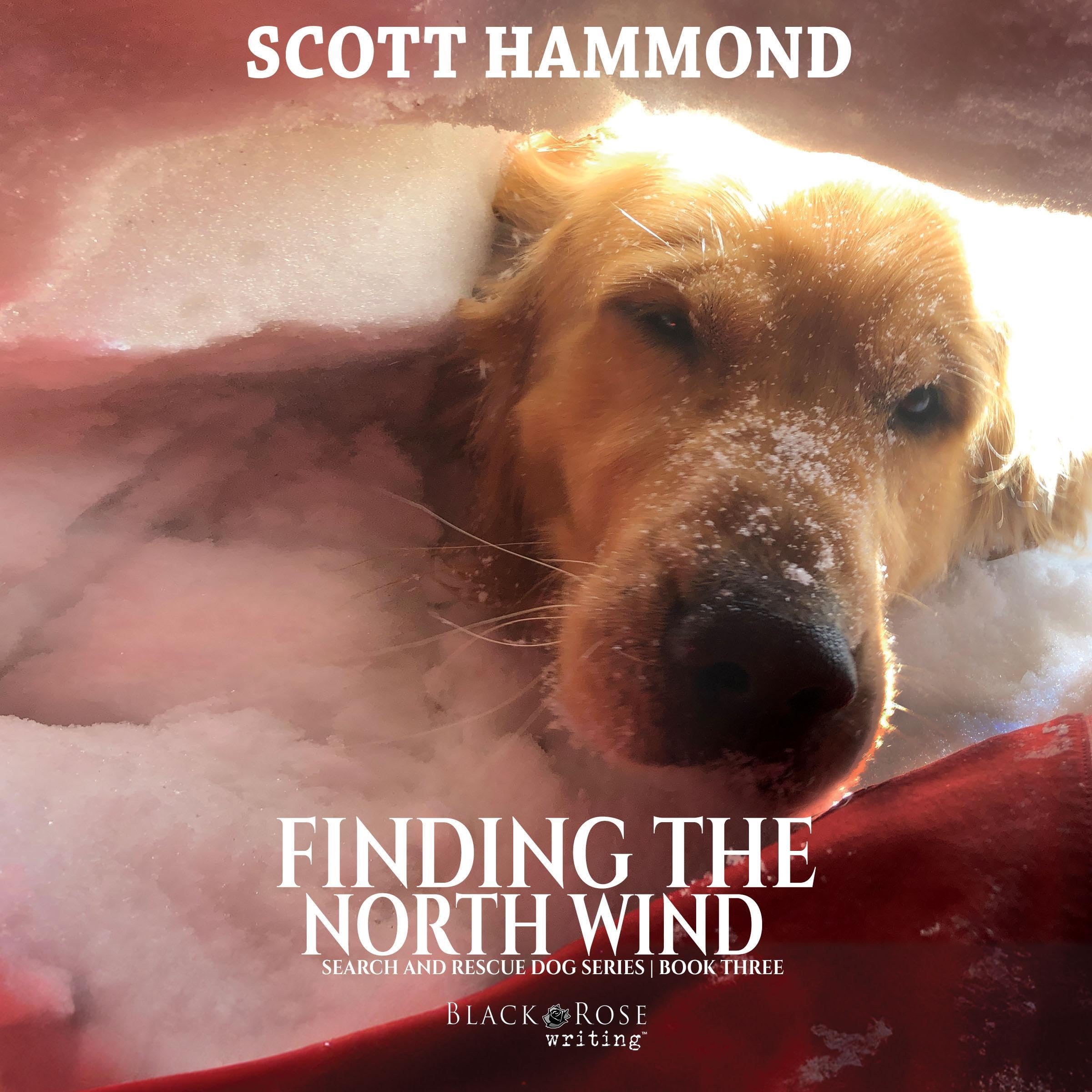 Cover art for Finding the North Wind
