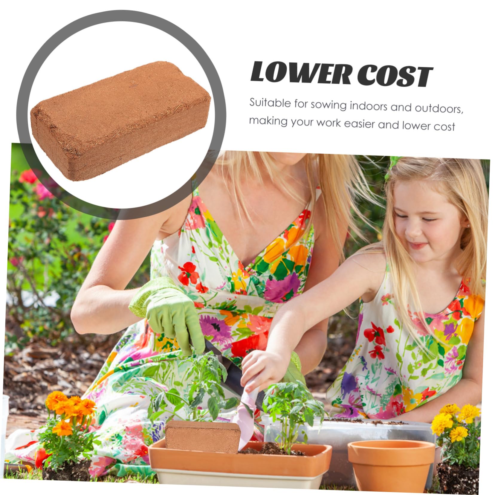 Bloc de Terreau Nutritif Compact 650g pour Semis Intérieur et Extérieur