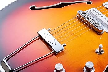 Amazon.co.jp: VOX ヴォックス エレクトリック・セミホロー・ギター