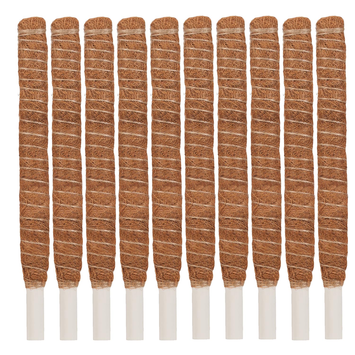Kokosstab, Pflanzenstütze Monstera, Moosstab, Rankhilfe, Pflanzstab Kokos (10 Stück; 120cm x Ø 4,0)