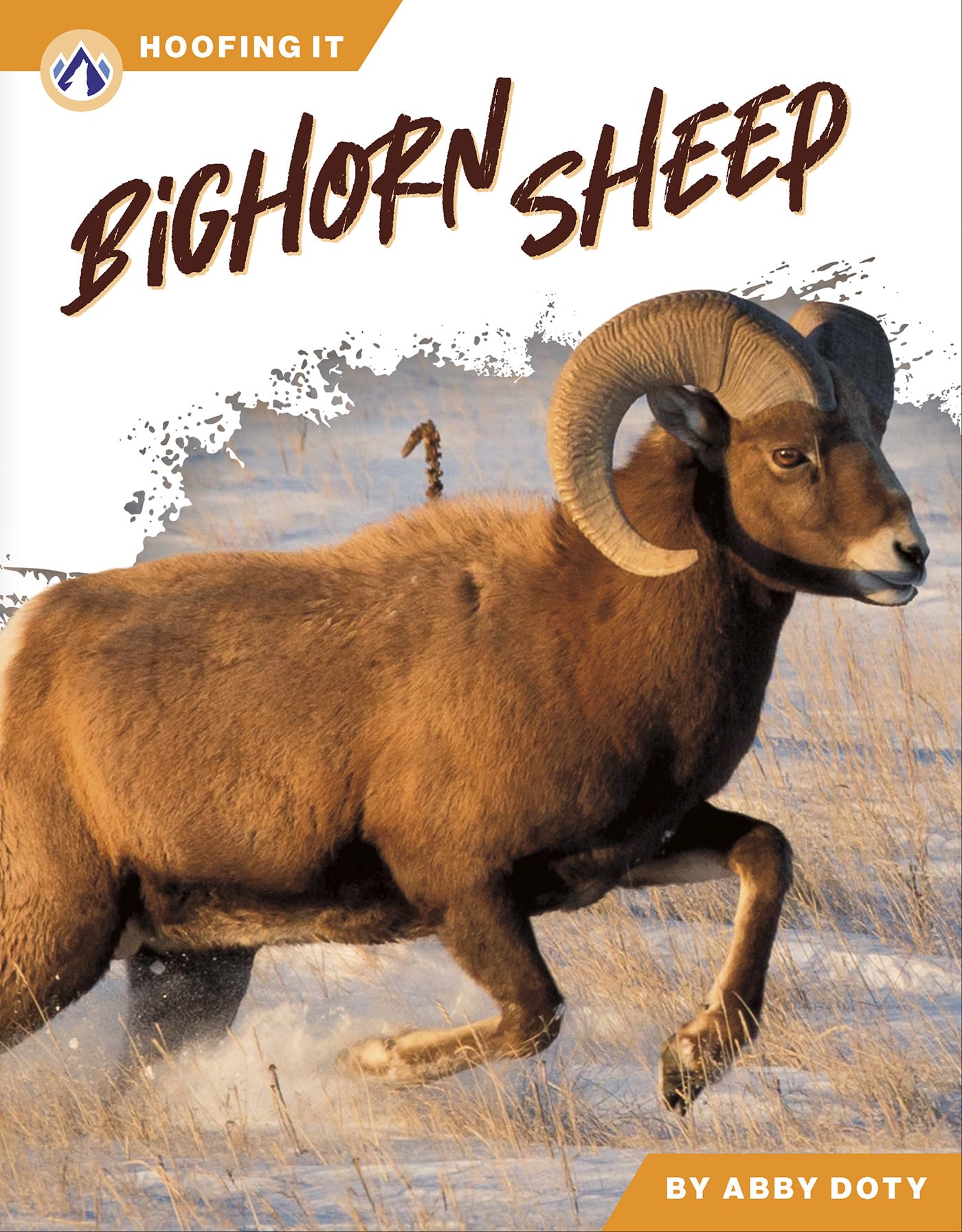 Bighorn Sheep (Hoofing It)