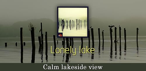Lonely Lake - Calm Lakeside View