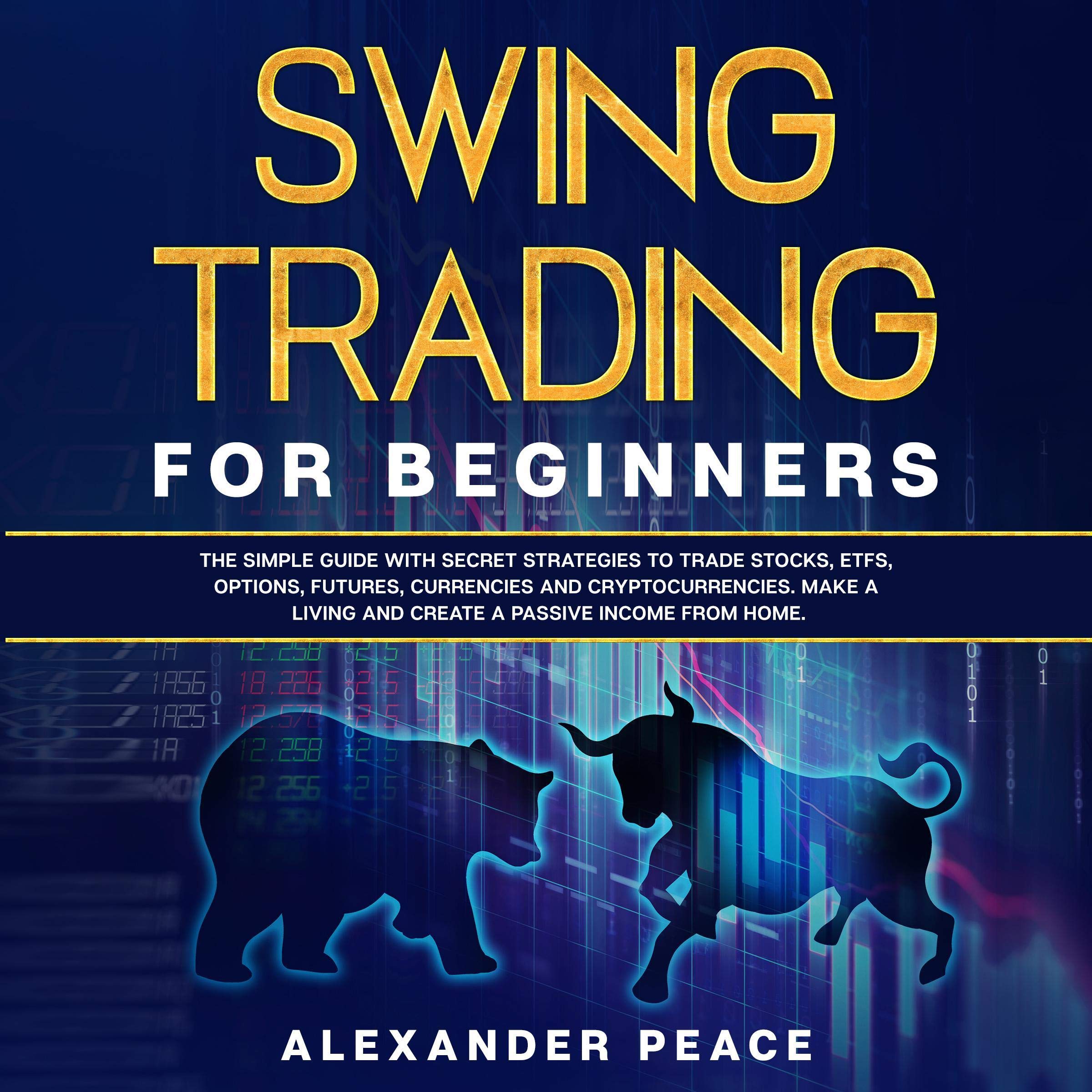 Cover art for Swing Trading for Beginners
