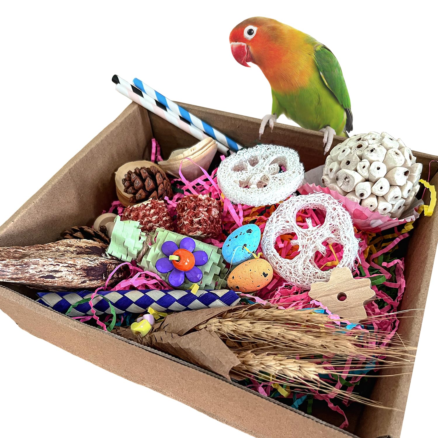 Large Bird Foraging Toy - Natural Shreddable Chew Toys Box for Conures, Cockatiels, Lovebirds & Budgies | Enrichment Activity with Colorful Textures (for Small-Medium Birds)